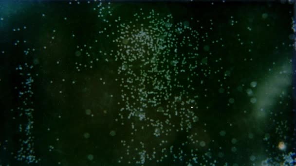 Зелені Шматочки Свіжого Розрізаного Листя Алое Вера Потрапляють Воду Повітряні — стокове відео