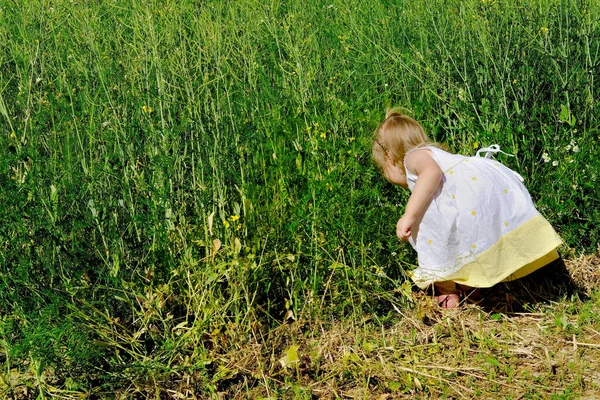 Malé Dítě Dívka Bílými Vlasy Kráčí Zelené Trávě Podél Pšeničného — Stock fotografie