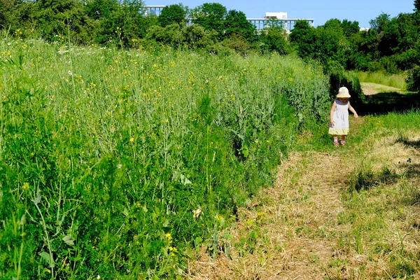 小さな子供白い髪の少女が小麦畑に沿って緑の草の上を歩く家族は公園で活動しています健康的なライフスタイルの概念 活動的な人々 ハードライト — ストック写真