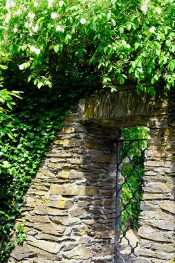 Fare şatosu, güzel ortaçağ şatosu 14. yüzyılın ortalarında Ren 'in zeminindeki tepenin üzerine inşa edilmiş Rhineland-Palatinate, Almanya, konsept turizm, Avrupa seyahati