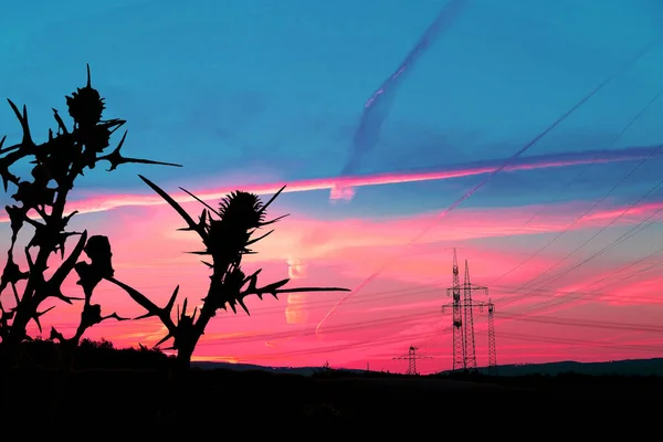 Piękny Krajobraz Niebo Liniami Szlaku Lotniczego Wieże Energetyczne Pole Wieczorem — Zdjęcie stockowe