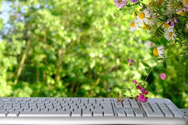 Laptop Tastatur Garten Vor Dem Hintergrund Grüner Bäume Sommer Strauß — Stockfoto