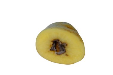 Yakın plan, izole edilmiş beyaz arka plan, sebzelerin siyah ortası, ekme için sebze tohumu konsepti, hastalık ve patates çürümesi yüzünden yumrunun zarar görmesi.