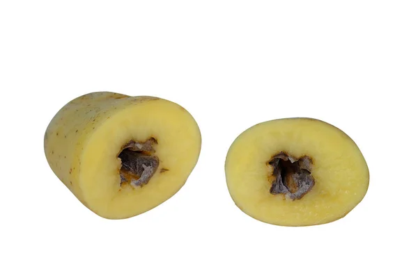 배경에 가운데검은 씨앗의 감자썩은 덩이줄기에 — 스톡 사진