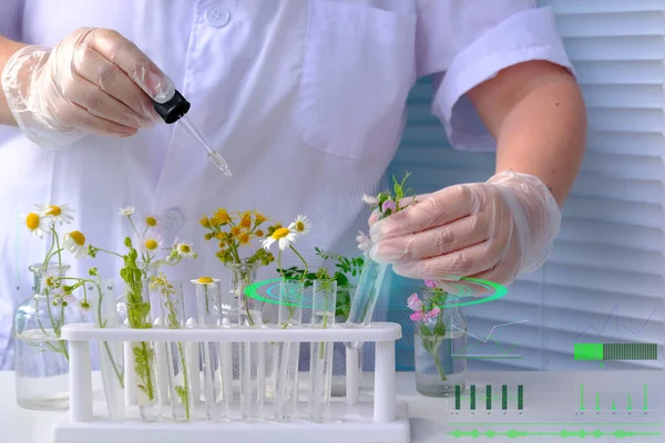Tudós Készít Mintát Növények Elemzésére Egyetemi Laboratóriumban Tanulmányok Növényi Dns — Stock Fotó