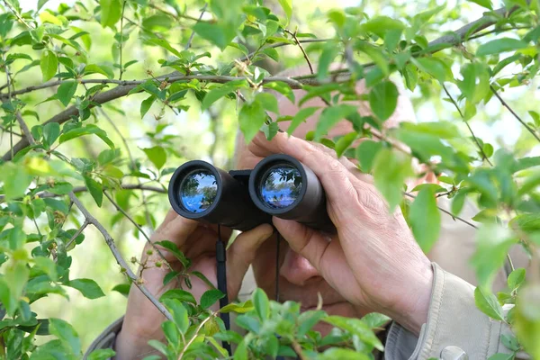 Homem Adulto Segurando Binóculos Campo Preto Com Zoom Escondido Vegetação — Fotografia de Stock