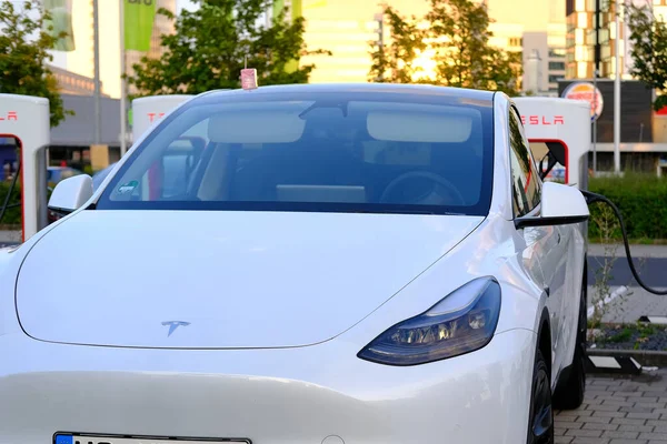 FRANKFURT, Almanya - Eylül 2021: Beyaz Tesla Model Y elektrikli yolcu arabası şarj istasyonunda pil dolduruyor, alternatif enerji geliştirme kavramı, elektrikli araç üretimi