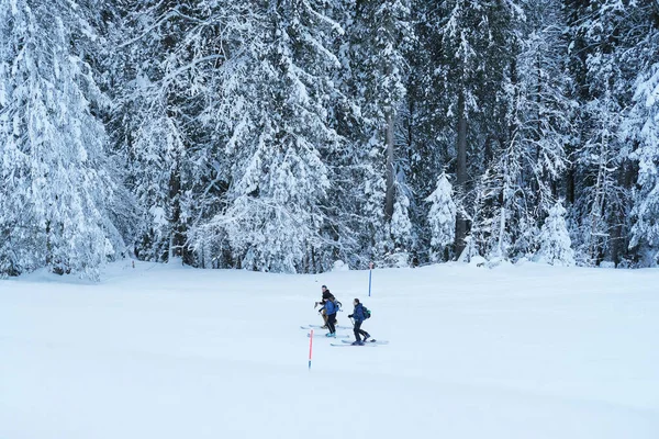 Engelberg Szwajcaria Grudzień 2020 Narciarze Spacerują Pięknym Zimowym Krajobrazie Pokryte — Zdjęcie stockowe