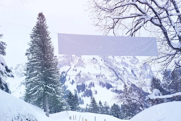 Bannière Vierge Pour Designer Sur Beau Paysage Hivernal Épinettes Moelleuses — Photo