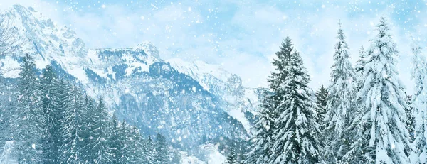 Vacker Vinter Landskap Snötäckta Fluffiga Granar Snöfall Bergen Panorama Över — Stockfoto