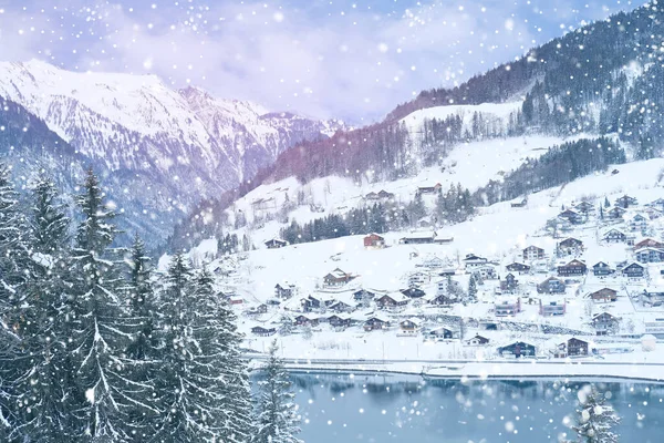 Hermoso Paisaje Invierno Abetos Esponjosos Cubiertos Nieve Nevadas Las Montañas —  Fotos de Stock