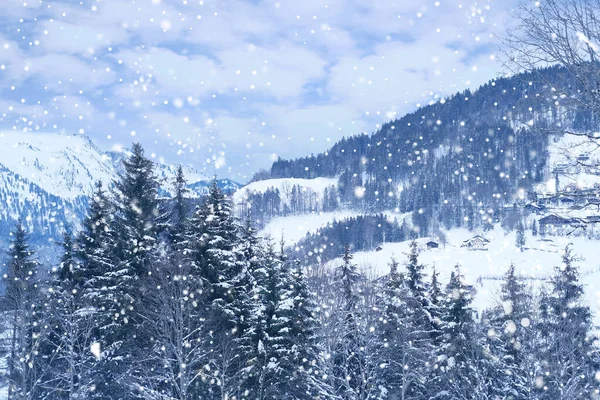 美丽的冬季风景 白雪覆盖的蓬松的冷杉 高山上的雪花 山巅的全景 雪地上的瑞士阿尔卑斯山 漫步在冬季的白森林里 — 图库照片