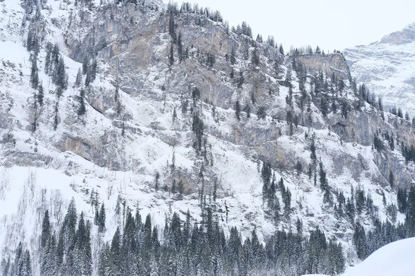 Красивый Зимний Пейзаж Заснеженные Деревья Горный Перевал Снегопад Горах Швейцарские — стоковое фото