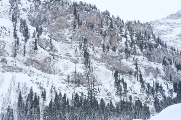 Beau Paysage Hiver Arbres Enneigés Col Montagne Chutes Neige Dans — Photo