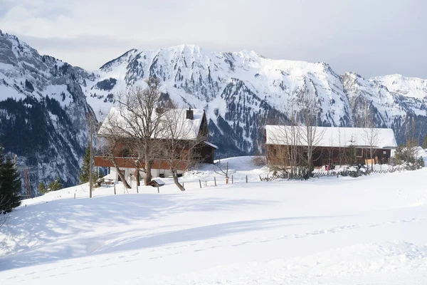 Wunderschöne Winterlandschaft Schneebedeckte Bäume Bergpass Schneefall Den Bergen Schweizer Alpen — Stockfoto