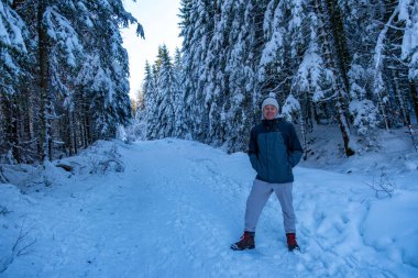 Karlı kış ormanlarında yürüyen adam çam ve çam ağaçlarıyla çevrili, karla kaplı kozalaklı orman, soğuk mevsim seyahati ve tatil, kış yolculuğu, yalnız gezgin