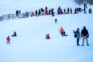 Meryem, Yusuf, bebek İsa ve üç kralla geleneksel Noel doğumu sahnesi saman, Hildesheim, Almanya - 14, 2024 