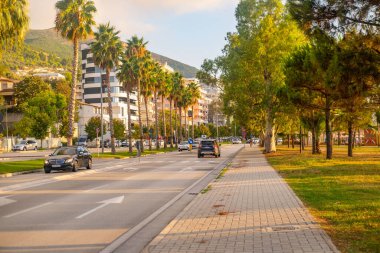 Palmiye ağaçları ve modern otellerle Akdeniz kıyısı bulvarı, güneşli kıyı yolu boyunca arabalar, deniz kenarındaki Palm-line bulvarı, Avrupa Birliği, Vlore, Arnavutluk - 10 Eylül 2025