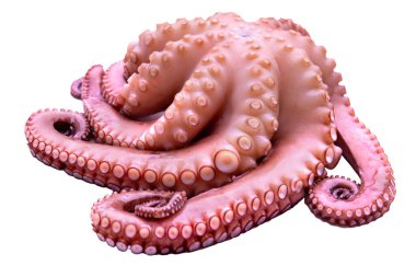 Üç ikonik Pringles konservesi, Variety populer Pringles tatları, marketin favorileri, Original, Sour Cream Onion, Paprika, yan yana, aperatif yiyecek seçenekleri, Frankfurt - 15 Haziran 2025 