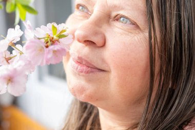 Programcı, kahverengi kablo örgü süveter giyen genç adam bilgisayar, kodlama süreci, modern işçi çözme sorunları, uzman dijital görevler, üretkenliği ve sakinliği teşvik eden ev ofisi ortamı  