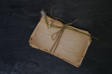 Güzel, boş, eski, yırtık dökük kağıt yığını. Kenarları kaba kenevir sicimi ile bağlanmış, duygusal, klasik, boş bir alan. Hikaye anlatımı, boş bir tahta.