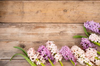 Beyaz çiçekler açan dallar, mavi gökyüzünün arka planına karşı, kavram bahar mevsimi, bahar kutlamaları, çevre, doğa detaylarıyla