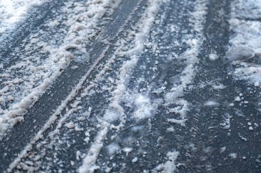 Mallow çiçekleri, altın buğday tarlasında açan parlak mor kır çiçekleri, yaz kırsal arazisi, organik tarım, canlı kırsal manzara, doğa güzelliği, çiftlik hayatı, kırsal manzara