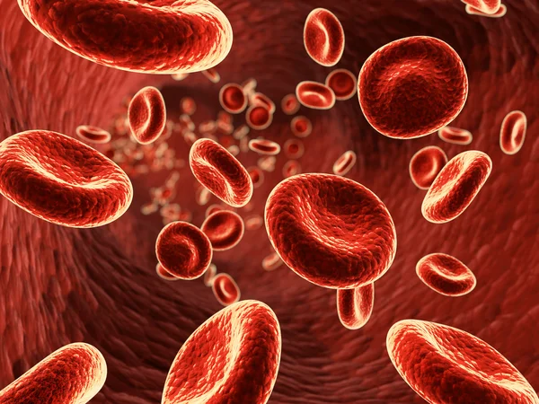 Red blood cells — Stock Photo, Image