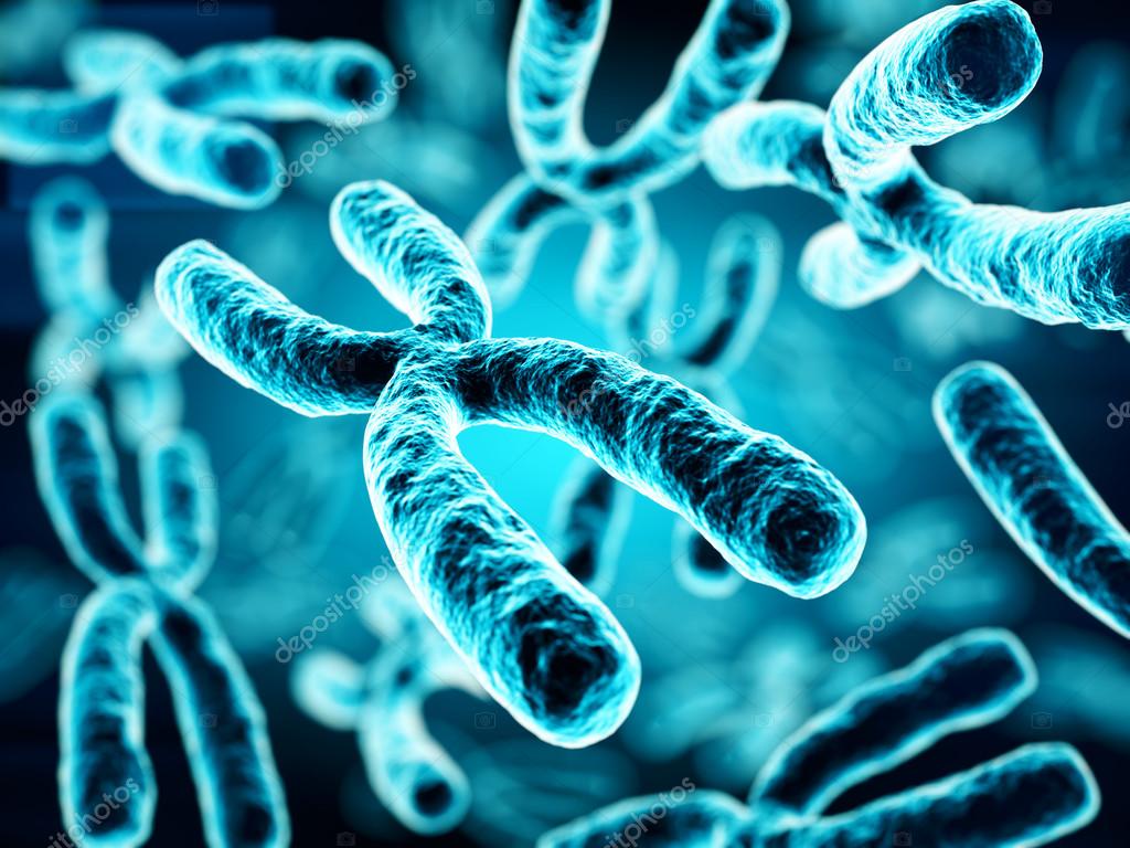 Chromosome Background Images HD Pictures and Wallpaper For Free Download   Pngtree
