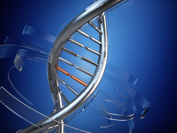 Μοντέλο του DNA — Φωτογραφία Αρχείου