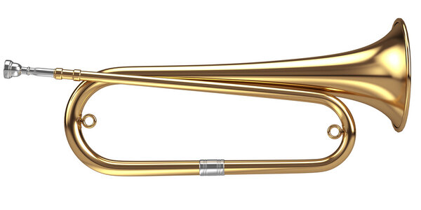 Багль изолирован на белом
