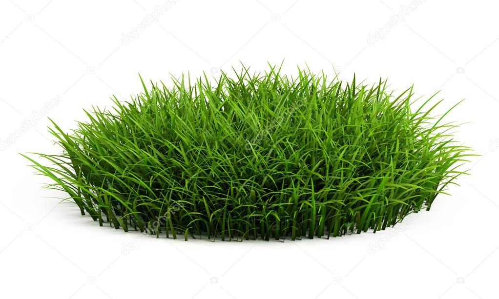 Round patch of fresh grass