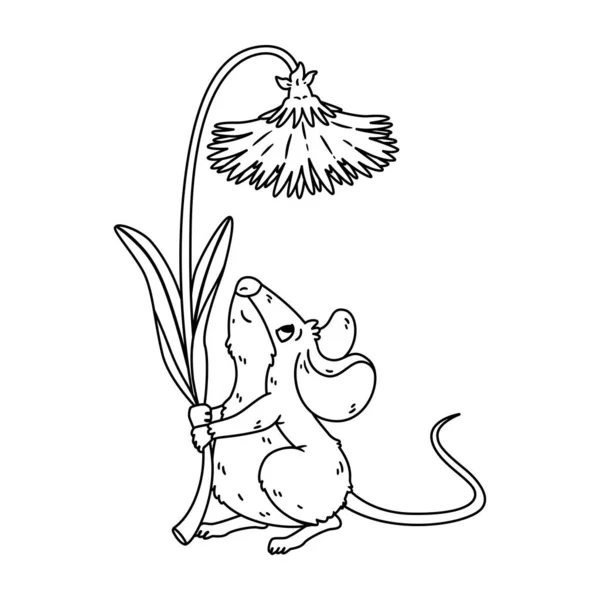 Little Forest Mouse Holding Dandelion Meadow Vole Flower Rat Keep — Stock Vector