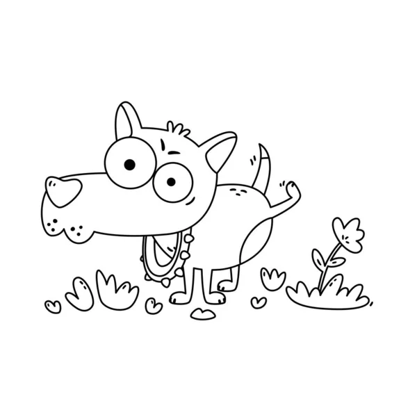 Маленький Собака Великими Очима Пісяє Квітку Чіхуахуа Нашийнику Шипами Прогулянці — стоковий вектор