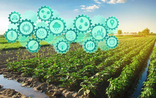 Akıllı Tarım Sistemi Yenilik Teknolojisi Tarım Yönetimi Girişimler Iyileştirmeler Yenilik — Stok fotoğraf
