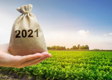 Money bag 2021 in the hands of a farmer and agricultural plantations. Harvesting, profit and budget concept. Investment in farming. Startups. Lending and subsidizing farmers. Harvest results clipart
