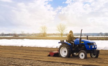 Değirmen makinesi olan bir traktördeki çiftçi toprağı gevşetiyor, öğütüyor ve karıştırıyor. Yüzeyi gevşetmek, ekin için toprağı işlemek. Çiftçilik ve tarım. Toprağı işliyor. Bir tarlayı sürür.