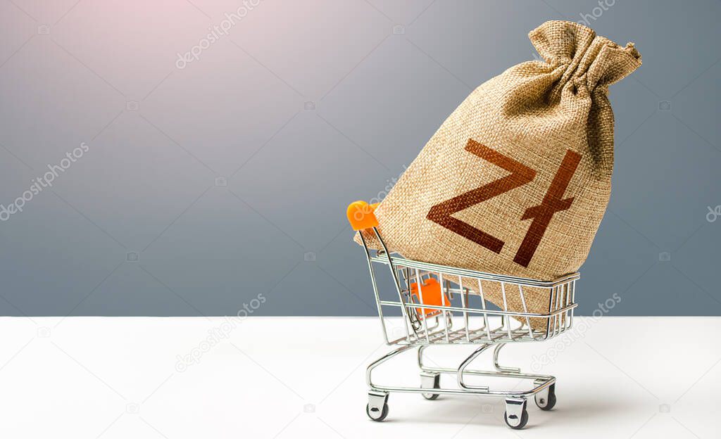 Polish zloty money bag in a shopping cart. Business and trade concept. Public budgeting. Profits and super profits. Minimum living wage. Loans, microloans. Consumer basket. Economic bubbles.