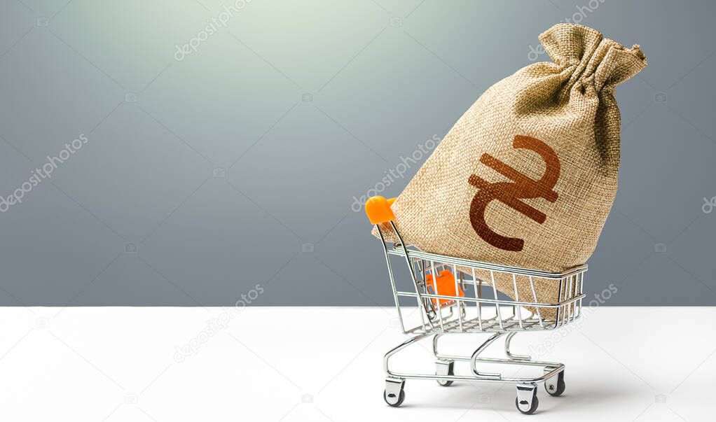Ukraine hryvnia money bag in a shopping cart. Business and trade concept. Public budgeting. Profits and super profits. Loans, microloans. Consumer basket. Economic bubbles. Minimum living wage.