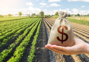 Bir havuç çiftliğinin arka planında bir dolar para çantası tutuyor. Destek ve sübvansiyon. Çiftlik kredisi. Toprak ve tohum malzemesi almak için çiftçilere borç vermek, modernizasyon. Köyün yeniden canlanması..