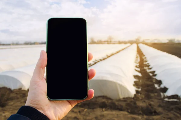 Mobiltelefon Üres Képernyővel Háttérben Mezőgazdasági Üvegházak Mezőgazdasági Termelő Kezében Innovatív — Stock Fotó
