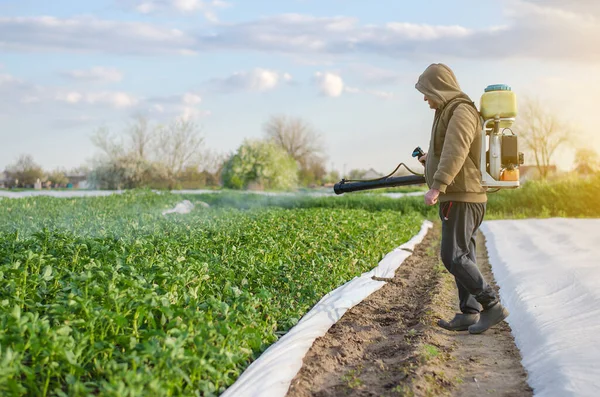 A farmer with a mist sprayer sprays fungicide and pesticide on potato bushes. Protection of cultivated plants from insects and fungal infections. Effective crop protection, environmental impact.