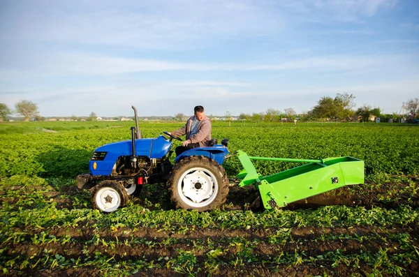 掘削ユニットを持つトラクターは 土地の野菜を掘り出します 農場での近代的な技術の使用 重土地の仕事からの人々の解放 農業と農地 田舎だ 食料生産 — ストック写真