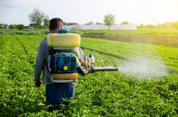 A farmer with a mist fogger sprayer sprays fungicide and pesticide on potato bushes. Effective crop protection, environmental impact. Protection of cultivated plants from insects and fungal infections