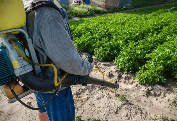 Boer Met Een Spuitmachine Aardappelplantage Achtergrond Gebruik Van Fungicide Pesticiden — Stockfoto