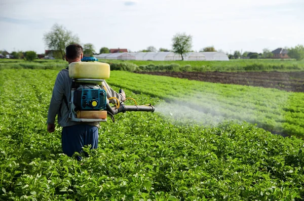 Seorang Petani Menyemprotkan Bahan Kimia Lahan Perkebunan Kentang Peningkatan Panen — Stok Foto