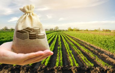 Farmer holding a money bag on the background of carrot plantations. Agricultural startups. Lending and subsidizing farmers. Investment and profit. The development of agriculture industry. Crops clipart