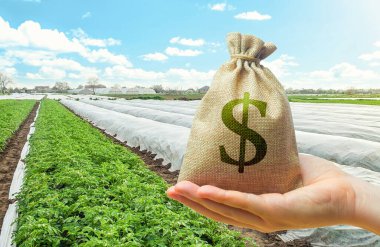 Money bag in hand on farm field background. Lending and subsidizing farmers. Grants and financial support. Profit from agribusiness. Land value valuation. Land tax. Agricultural startups. Secured loan clipart