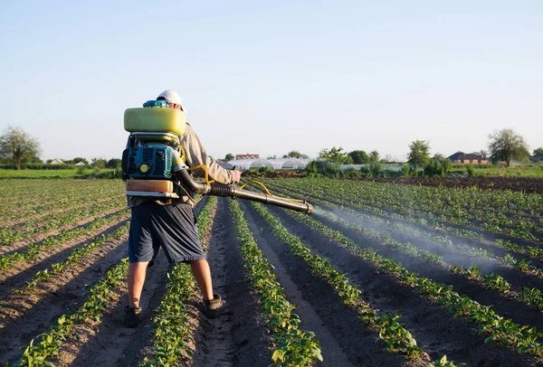 Farmer with a sprayer spray plantation plants. Protection of cultivated plants from insects and fungal infections. Resistance of the crop to pests. Chemical industry in farming agriculture.