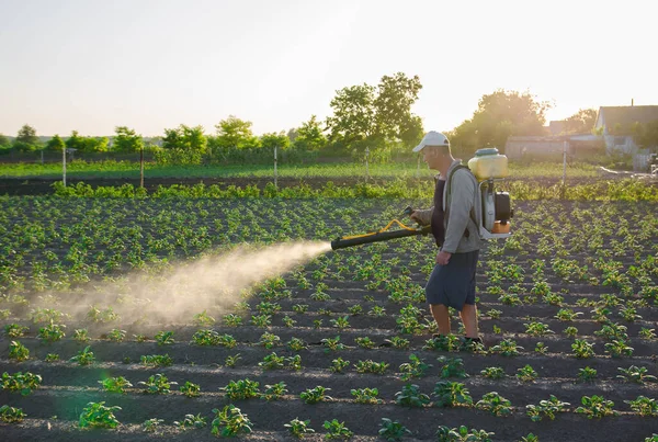 Agricoltore Con Nebbia Nebulizzatore Spruzza Fungicida Pesticida Cespugli Patate Efficace — Foto Stock